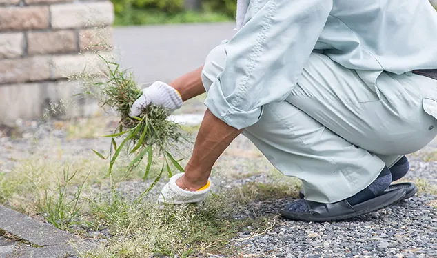 空き地草刈り