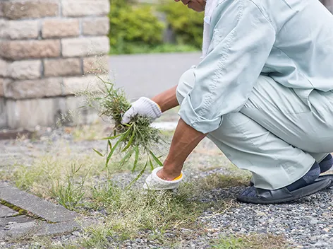 庭木・草木の伐採